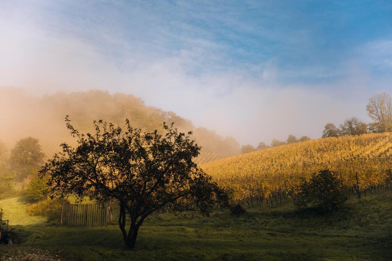 Luxury Vineyard Resort Chateau Ramsak Μαριμπόρ Εξωτερικό φωτογραφία